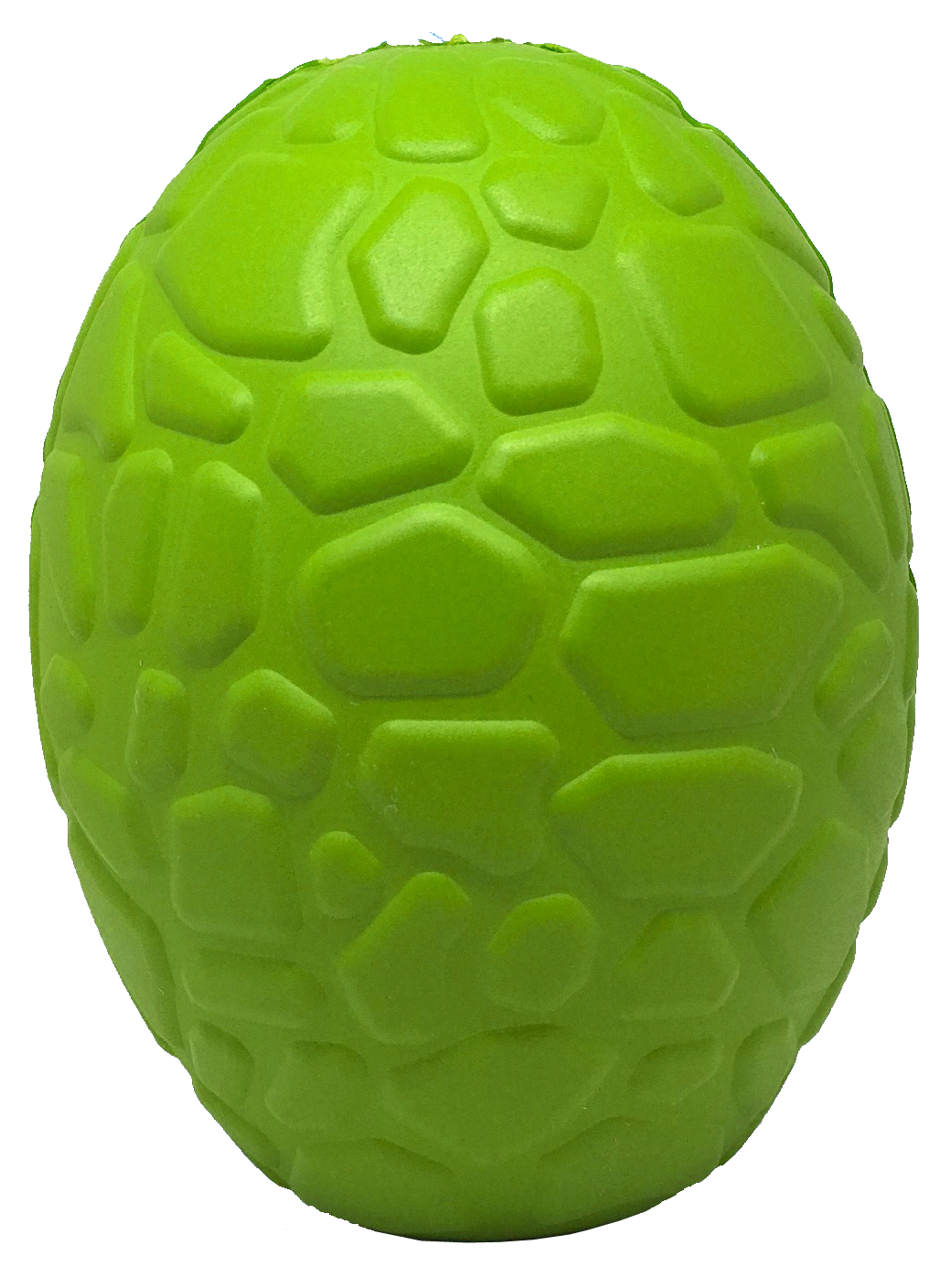 Green Dinosaur Egg Rubber Chew Toy - L
