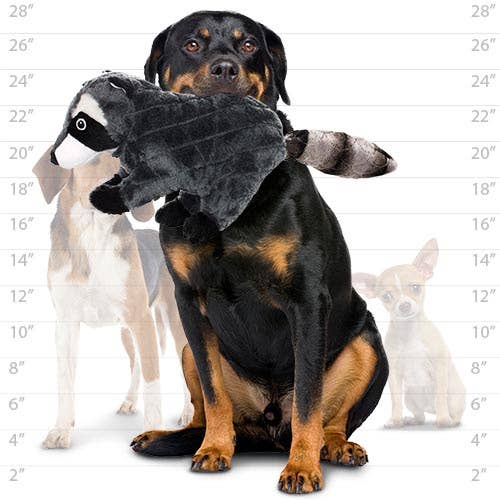 Mighty Nature Raccoon, Plush, Squeaky Dog Toy