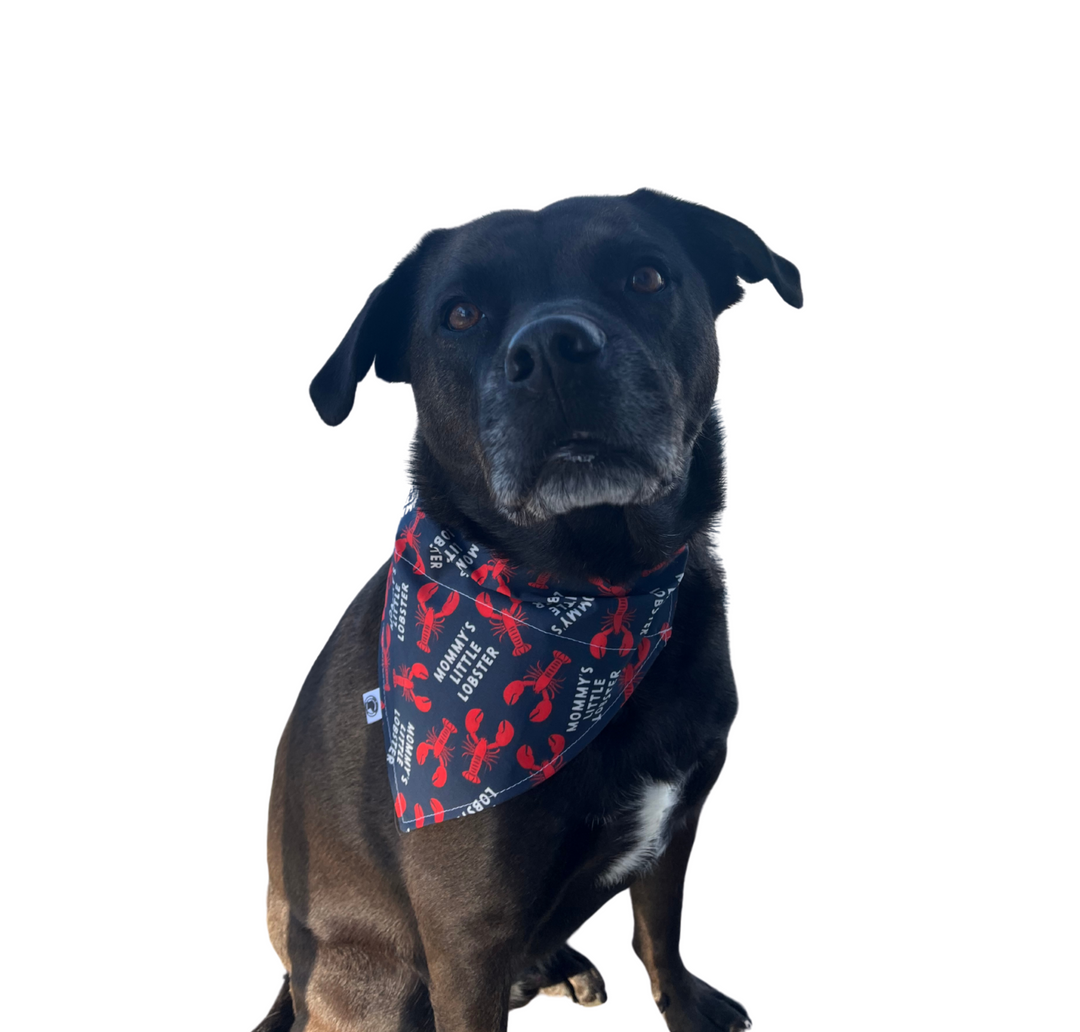 Mommy's Little Lobster Bandana