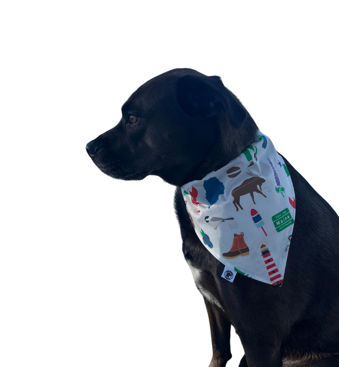 Maine Icons Bandana