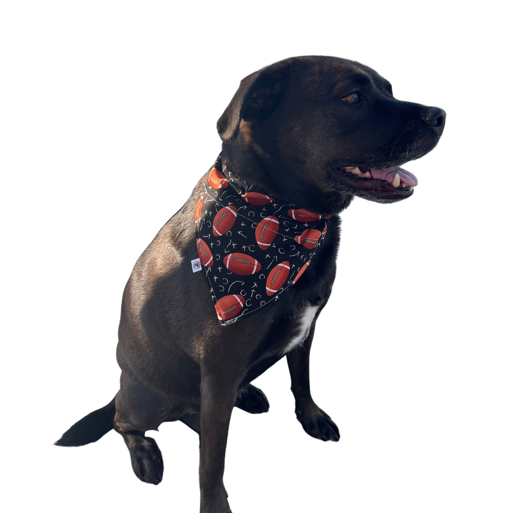 The Sunday Football Bandana