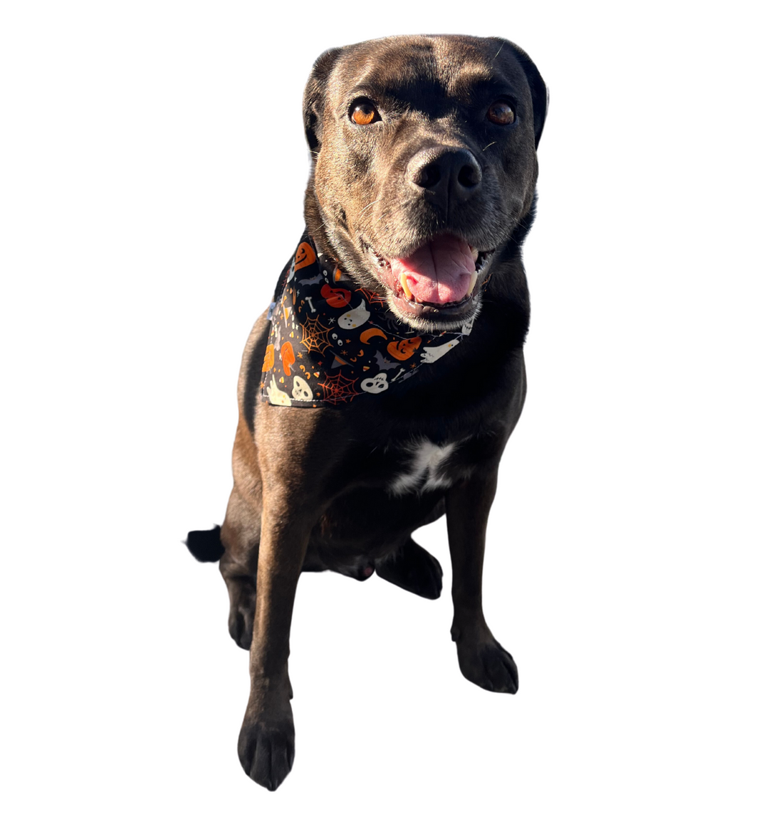 The Spooky Bandana