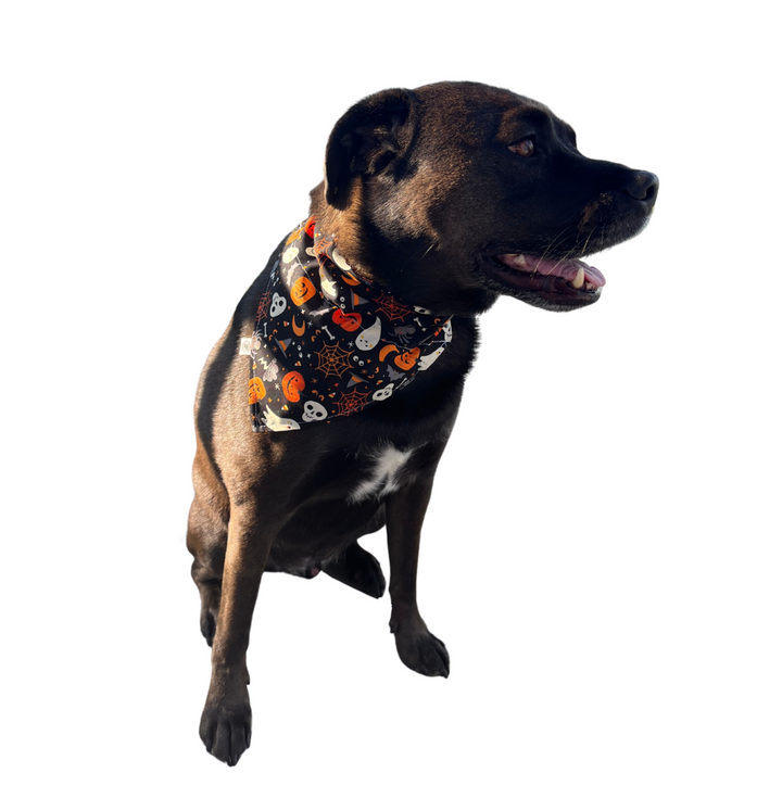 The Spooky Bandana