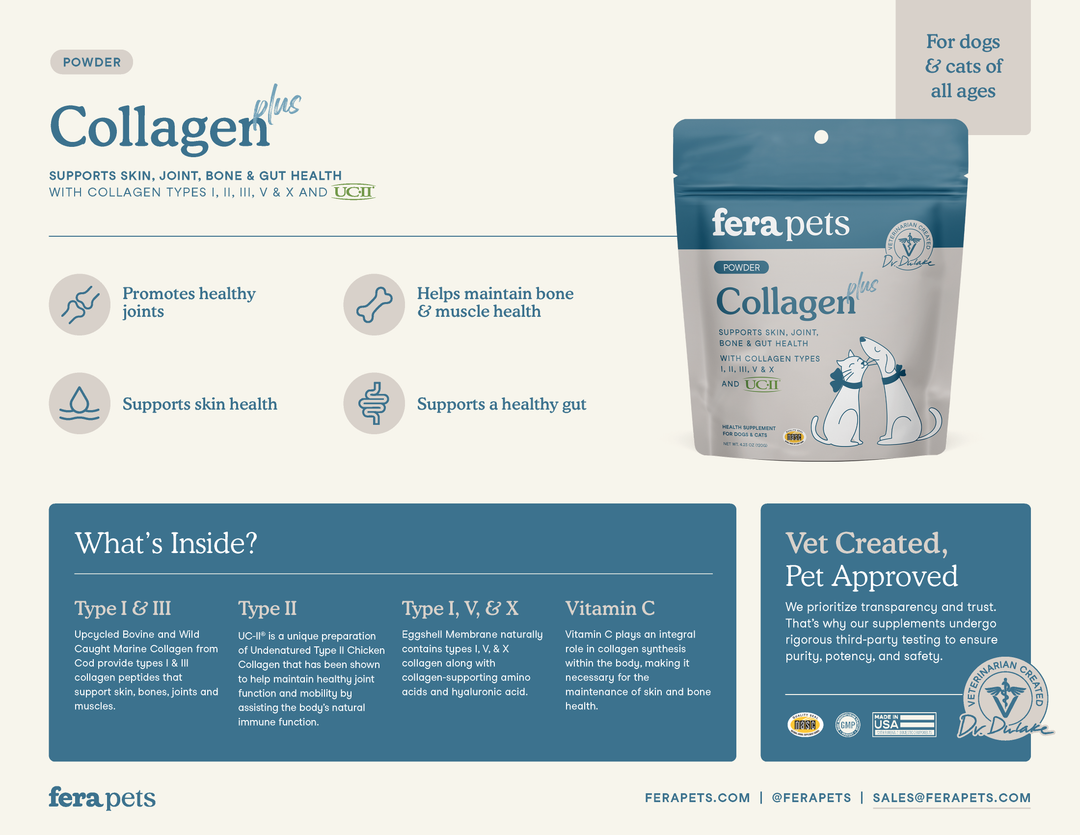 Collagen Plus for Dogs and Cats