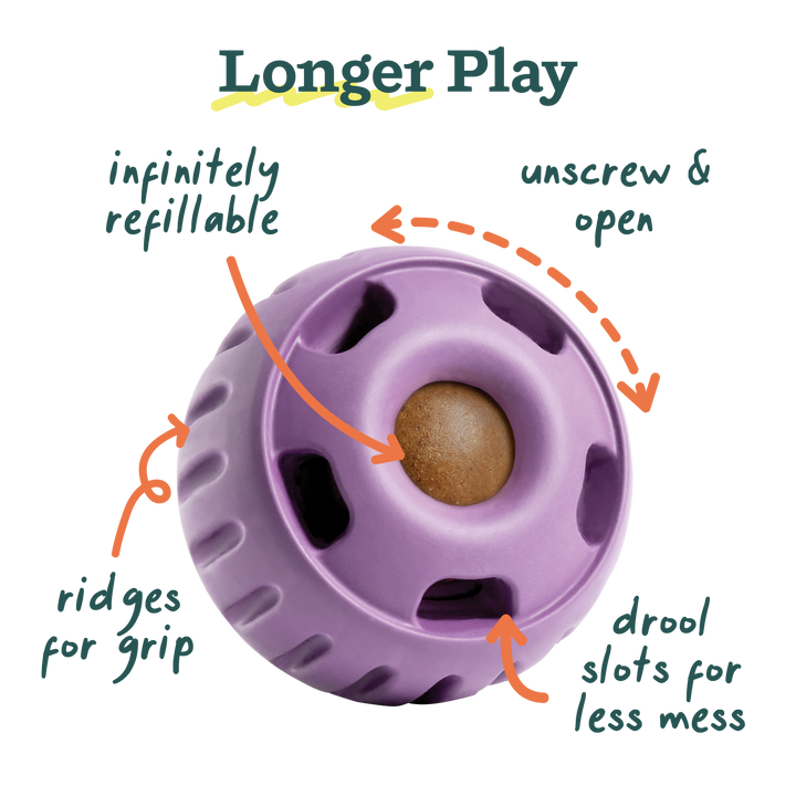 The Pupsicle - Lavender