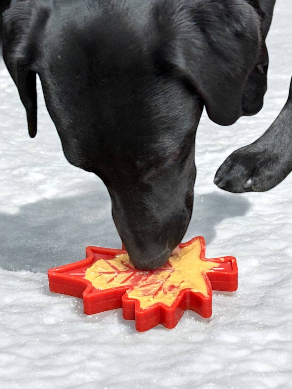 Canadian Maple Leaf Nylon Toy - Red