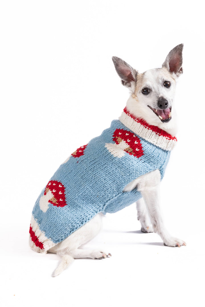 Mushroom Sweater