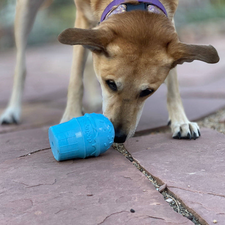 Blue Ice Cream Cone Rubber Chew Toy - L