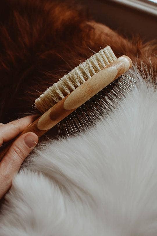 Bamboo Two-Sided Dog Brush