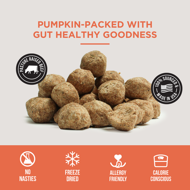 The Only Freeze Dried Pumpkin Meatballs Dogs Need