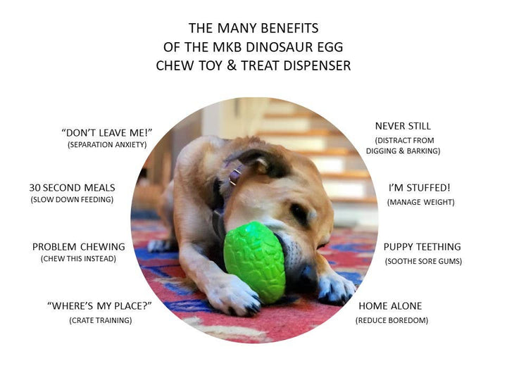 Green Dinosaur Egg Rubber Chew Toy - L