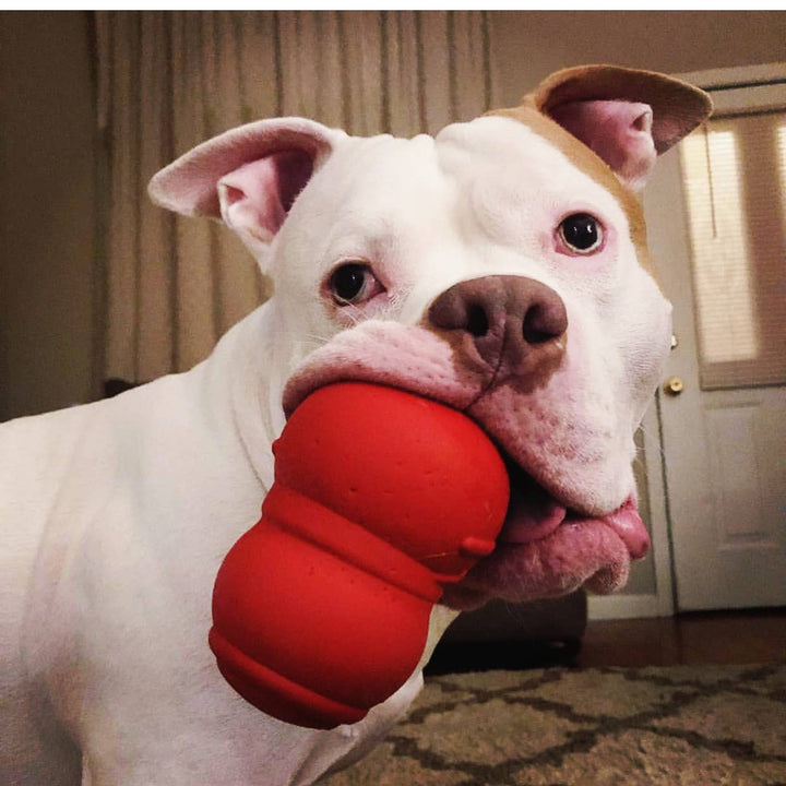 Snowman Rubber Treat Dispensing Dog Toy