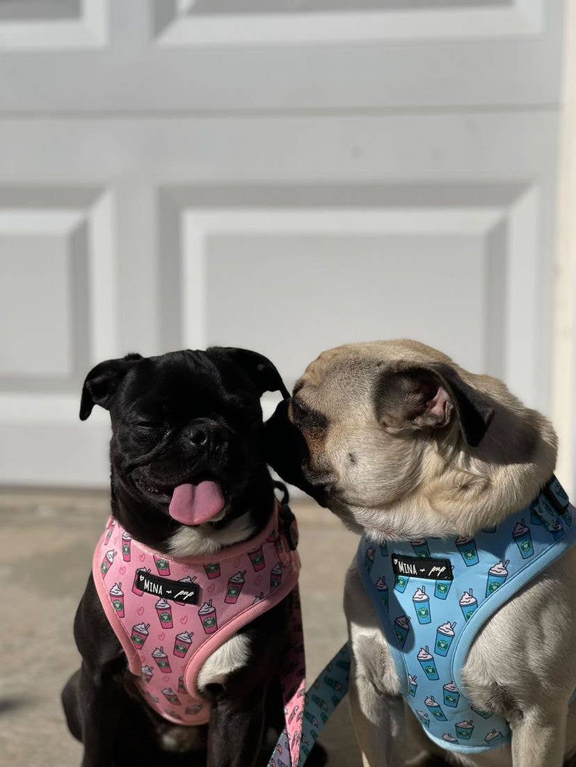 Blue Pupshake Adjustable Harness