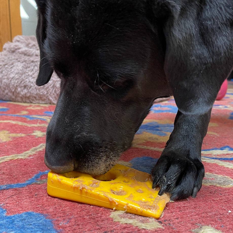 Swiss Cheese Wedge Nylon Dog Chew Toy for Aggressive Chewers | SodaPup