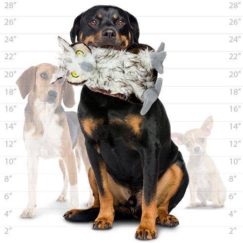 Mighty Nature Owl, Plush, Squeaky Dog Toy