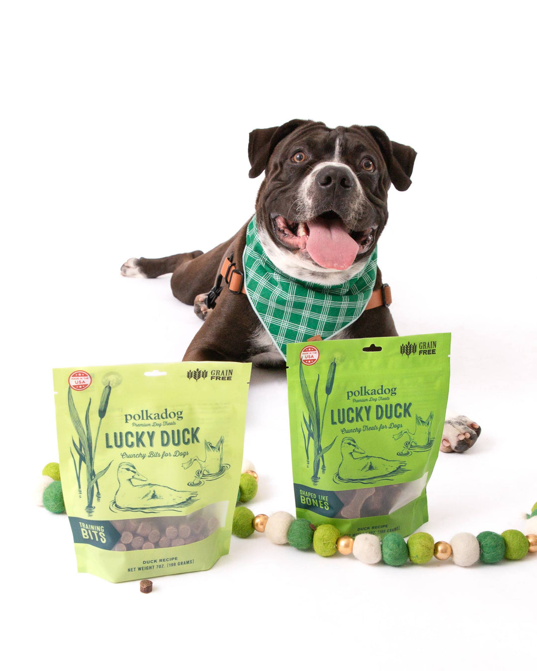 Lucky Duck (Bone Shaped) - 7oz - Dog Treats
