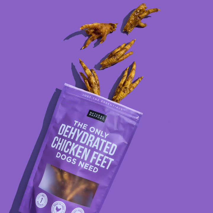 The Only Dehydrated Chicken Feet Dogs Need