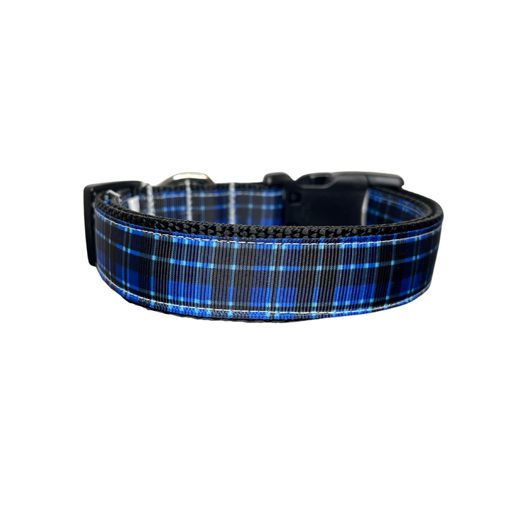 The Blue Plaid Collar