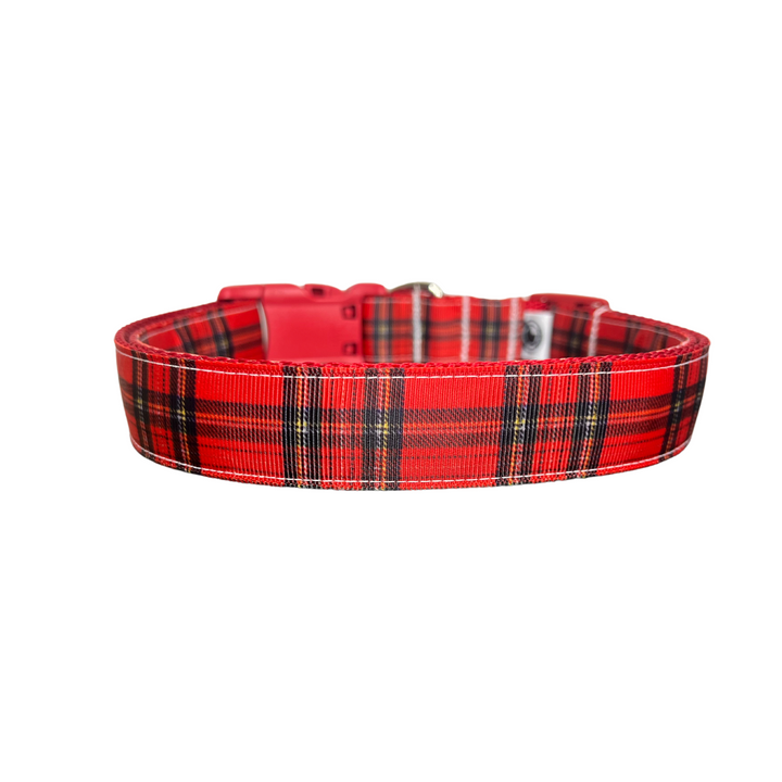 The Red Plaid Collar