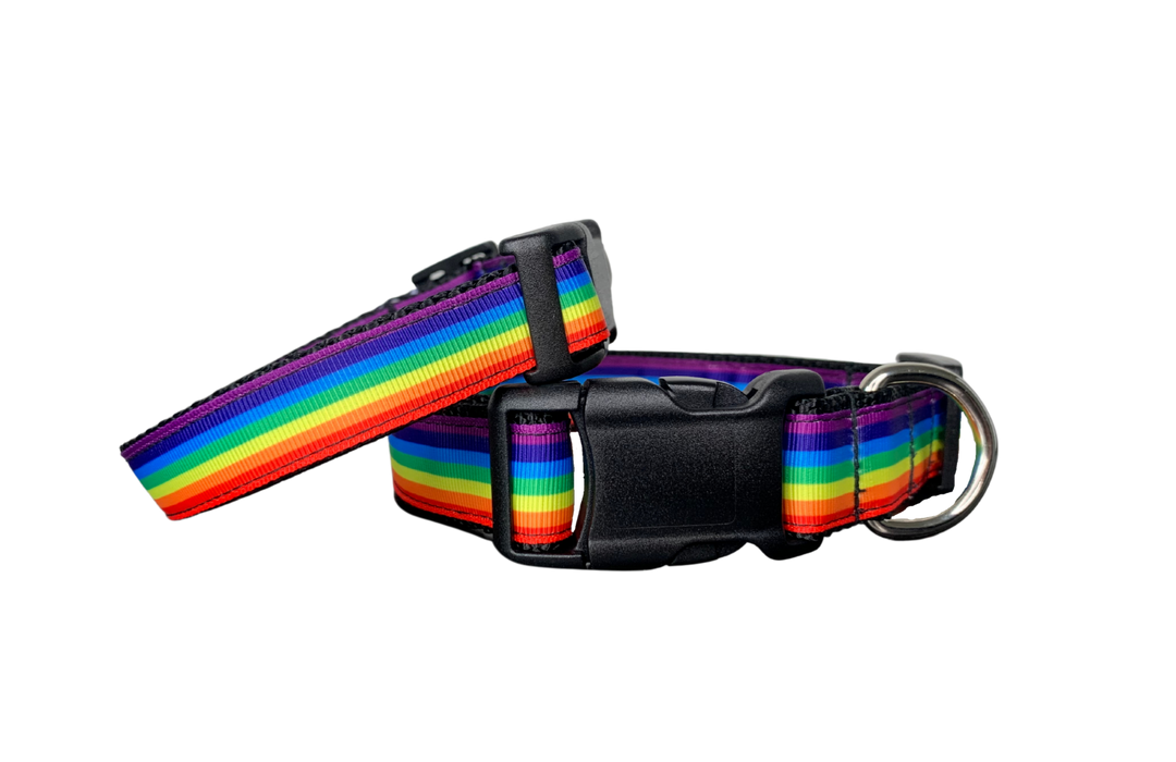 Rainbow Collar