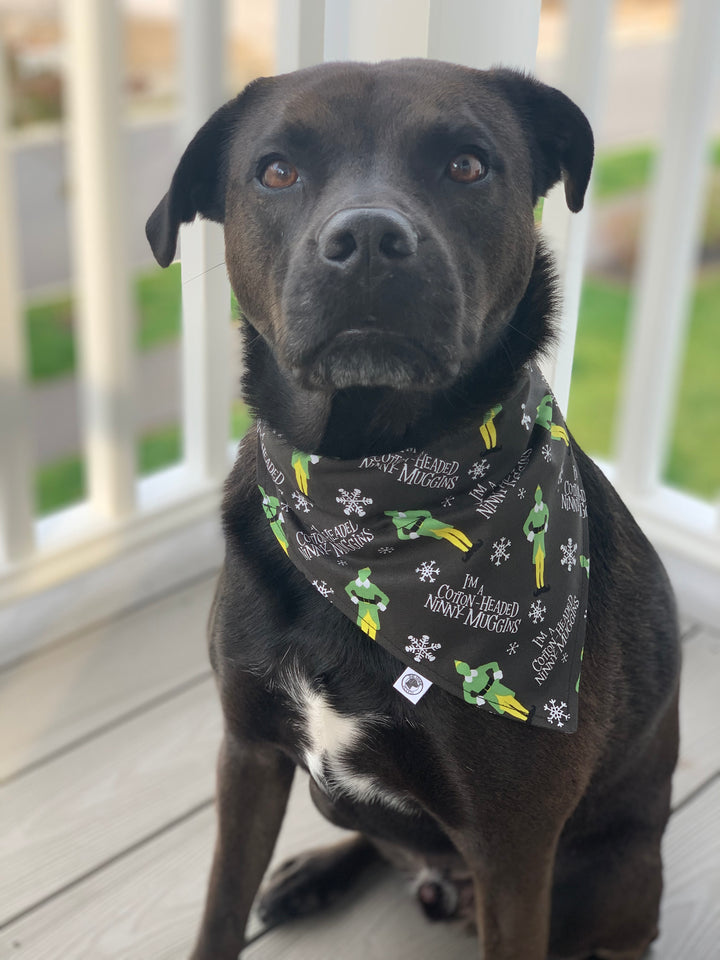 The Santa Helper Bandana