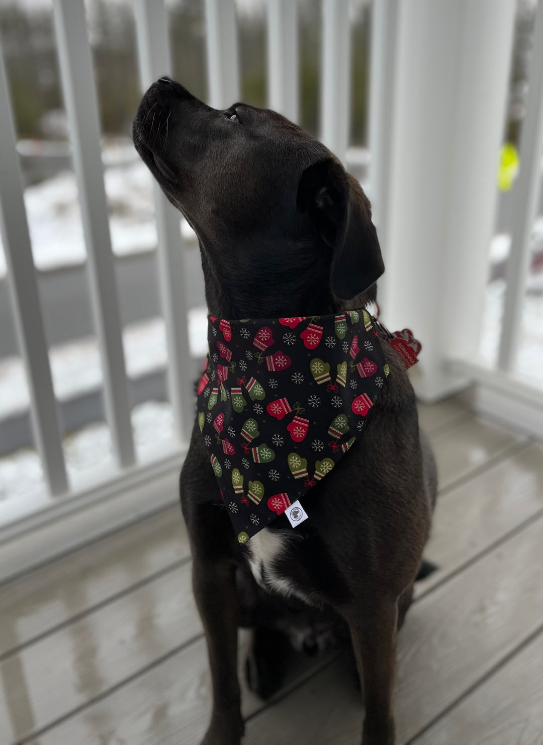 I'm Smitten With You Bandana