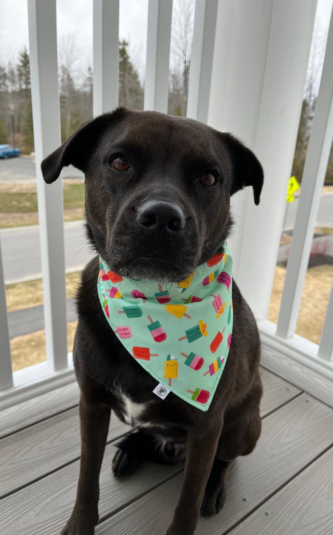 The Just Chillin' Bandana