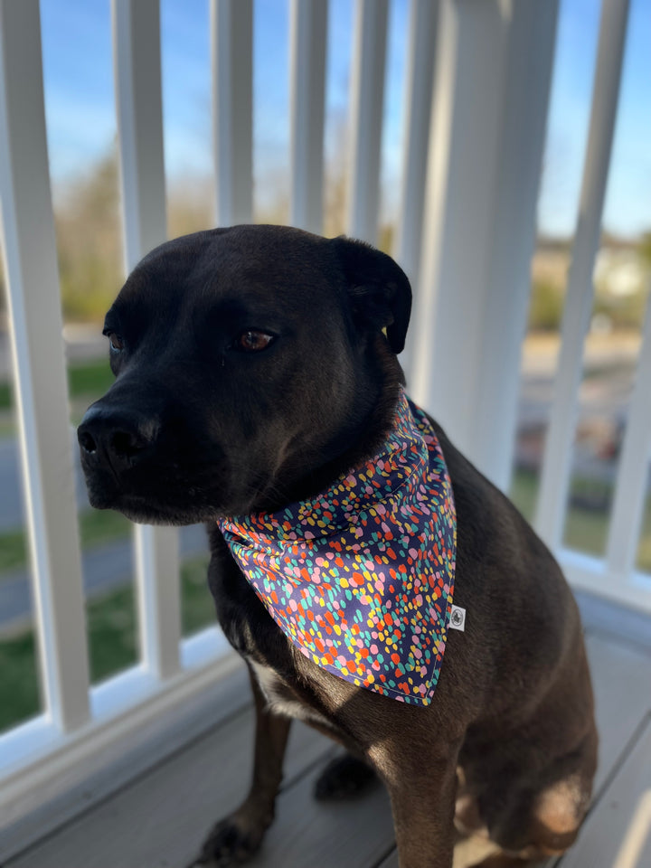 The Festive Bandana