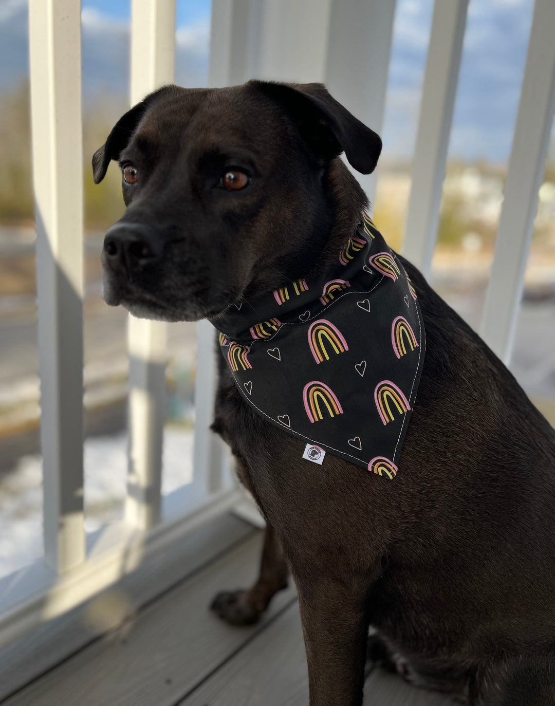 Over The Rainbow Bandana