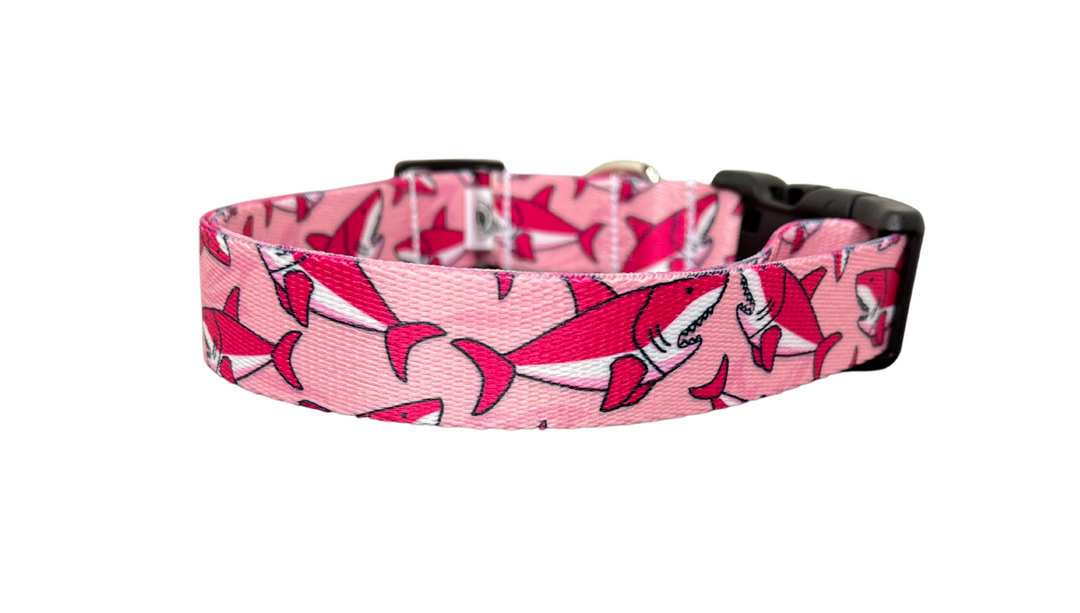 The Shark Attack Collar