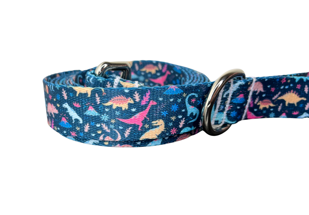 The Dino-Mite Leash