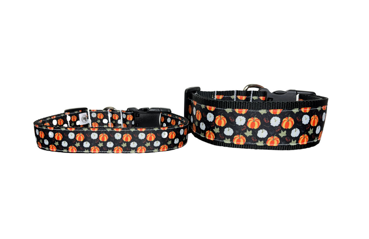 The Gourd Vibes Collar