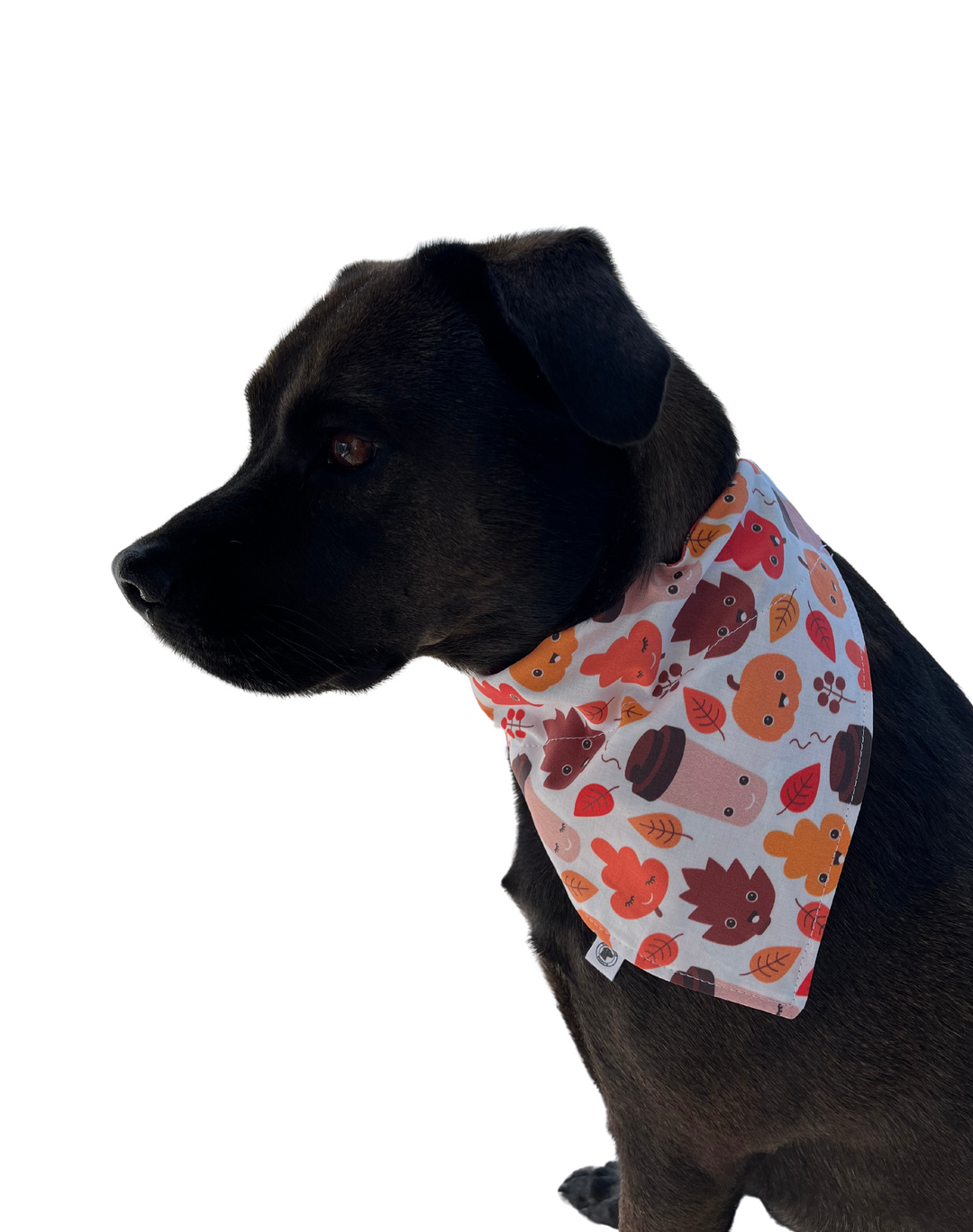 The Pumpkin Spice Latte Bandana