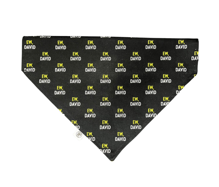 The Ew David Bandana