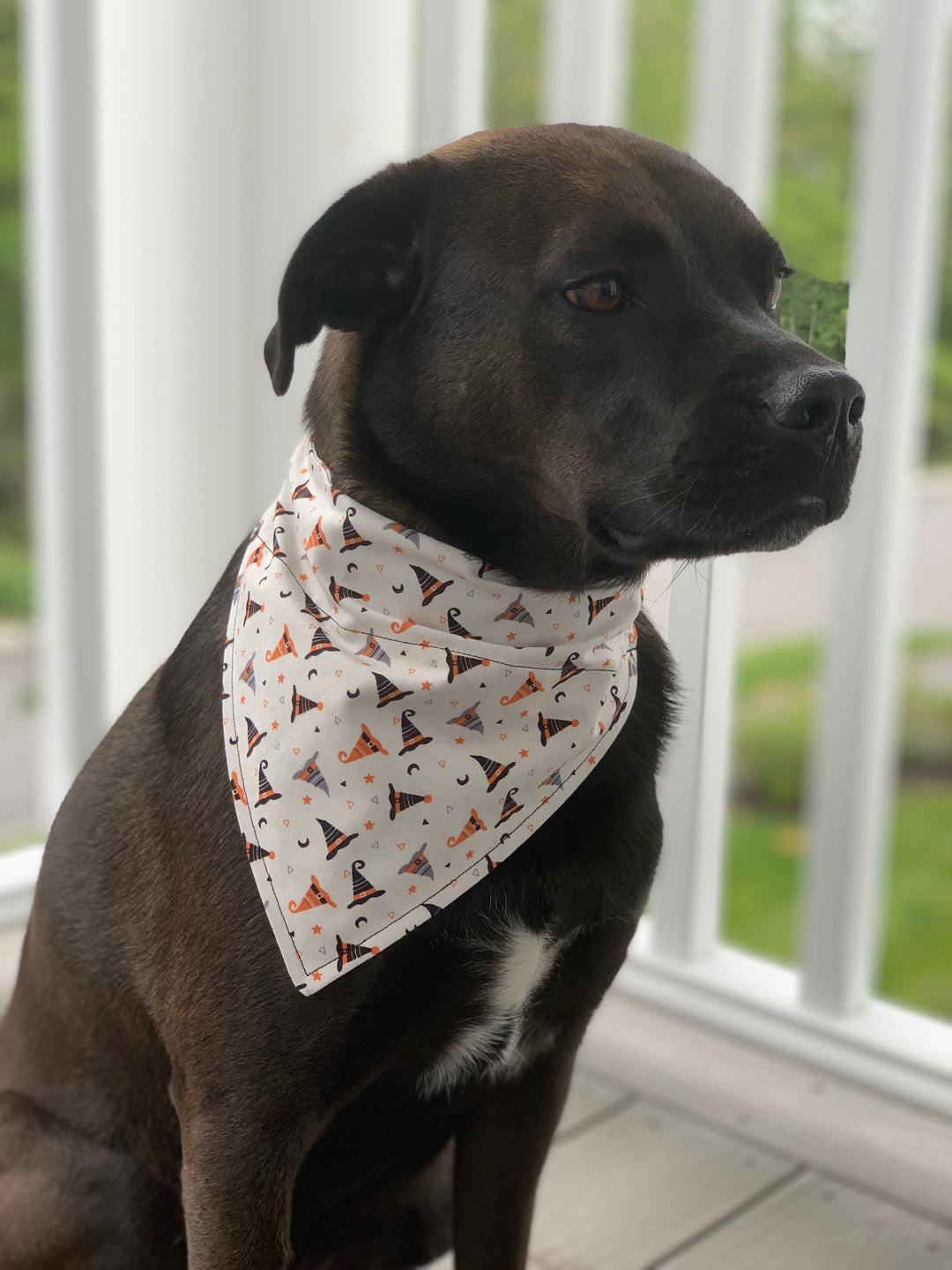 The Witchy Bandana