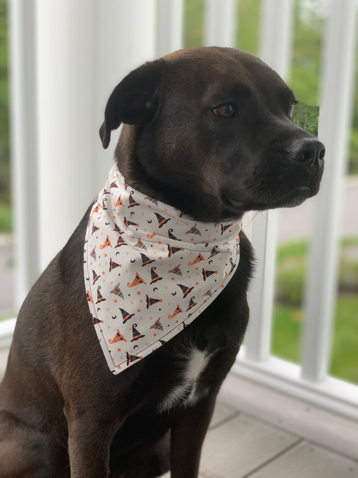 The Witchy Bandana