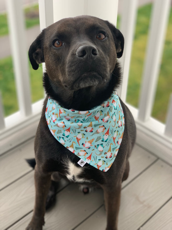 There's Gnome Place Like Home Bandana