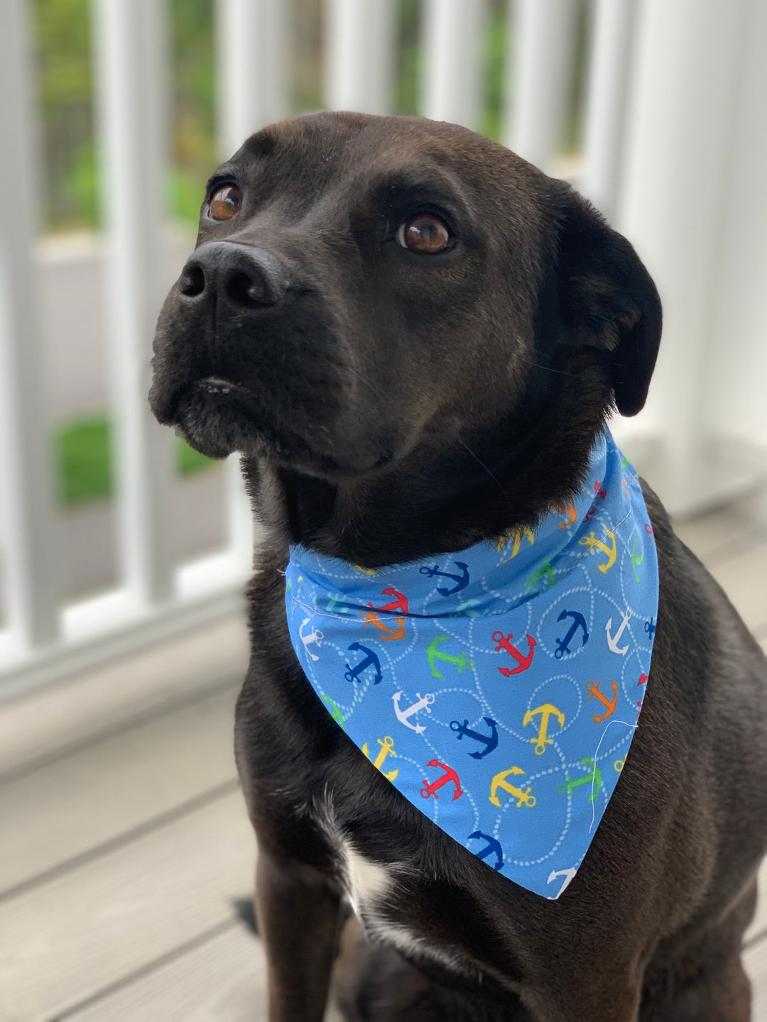 Time Anchor Time Bandana