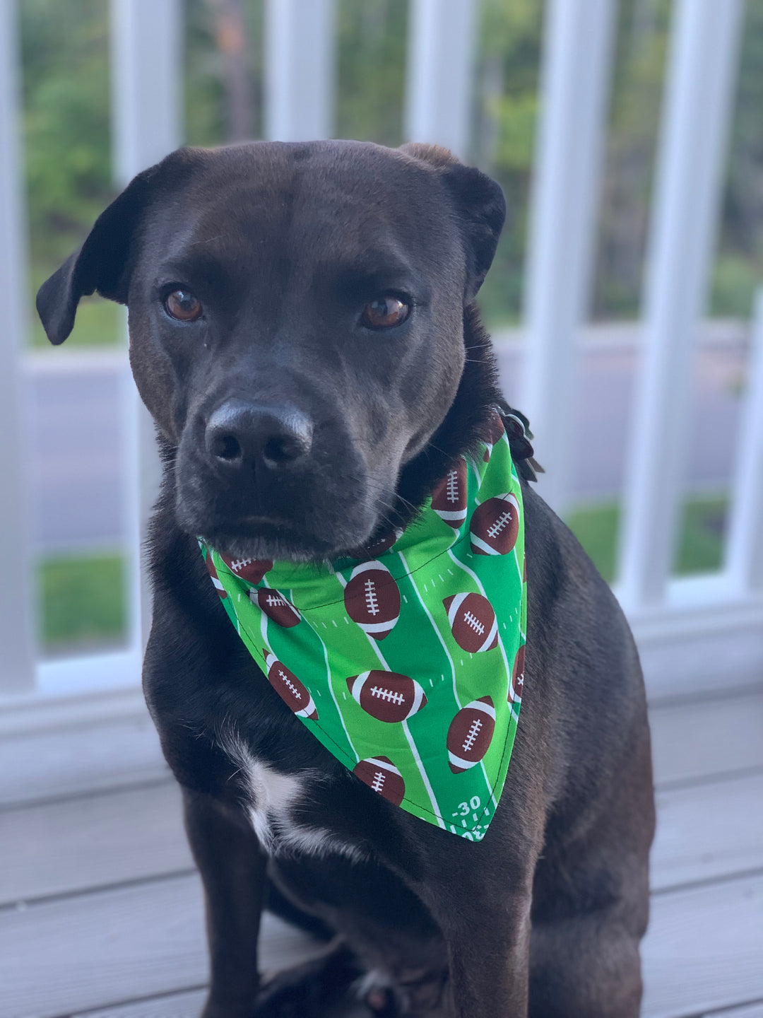 The Touchdown Bandana