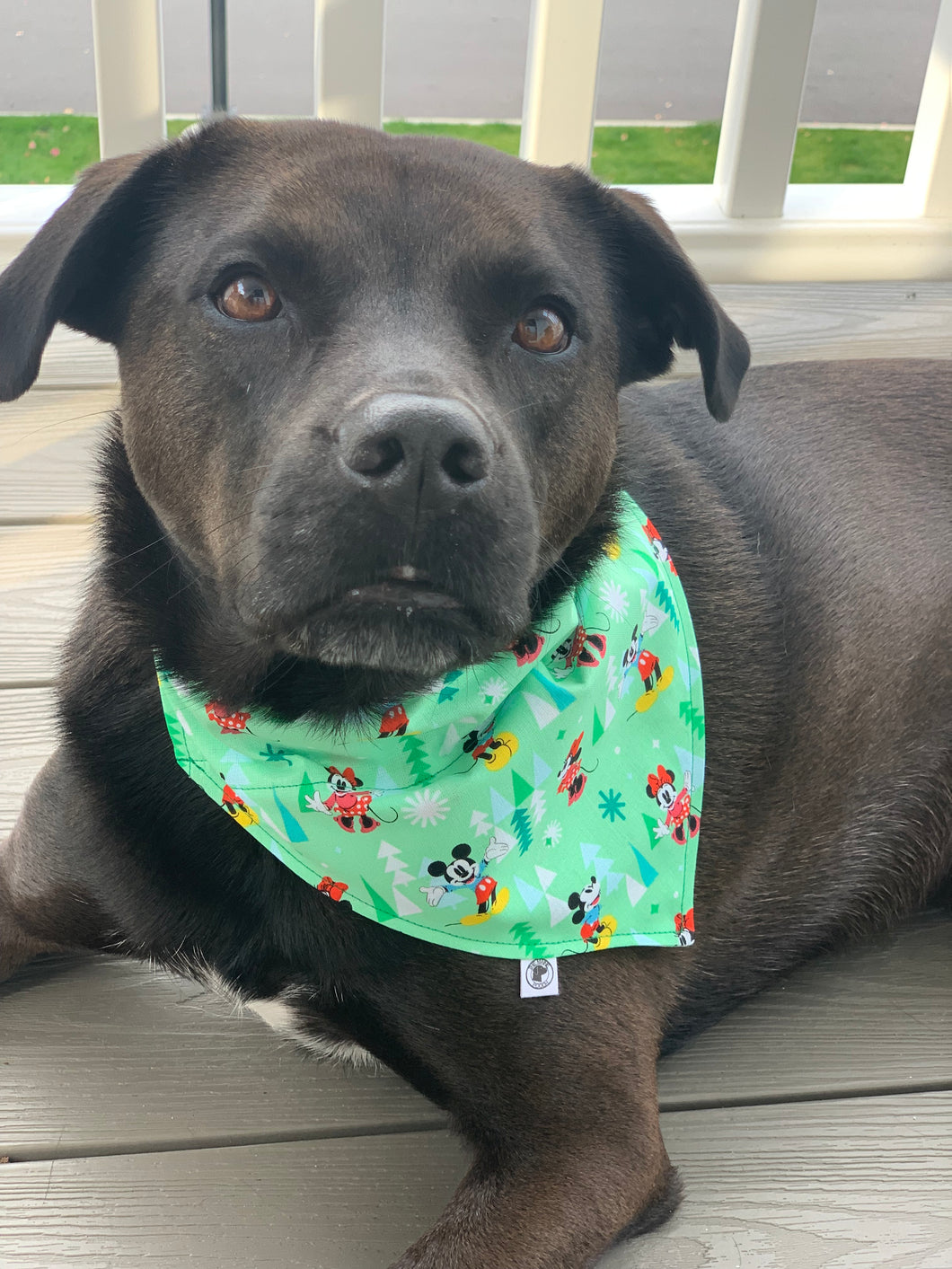 Mr. & Mrs. Winter Bandana