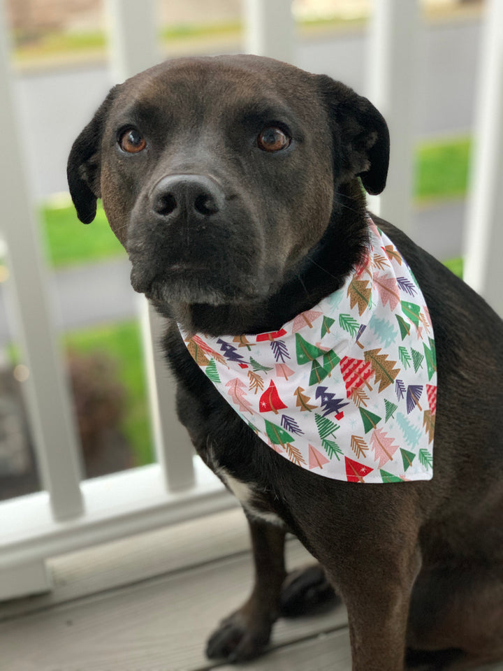 The Fir Real Bandana